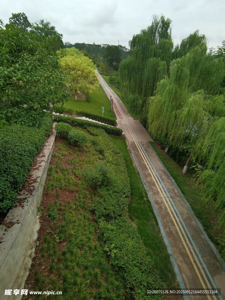 廢棄鐵軌穿行于蔥郁林間