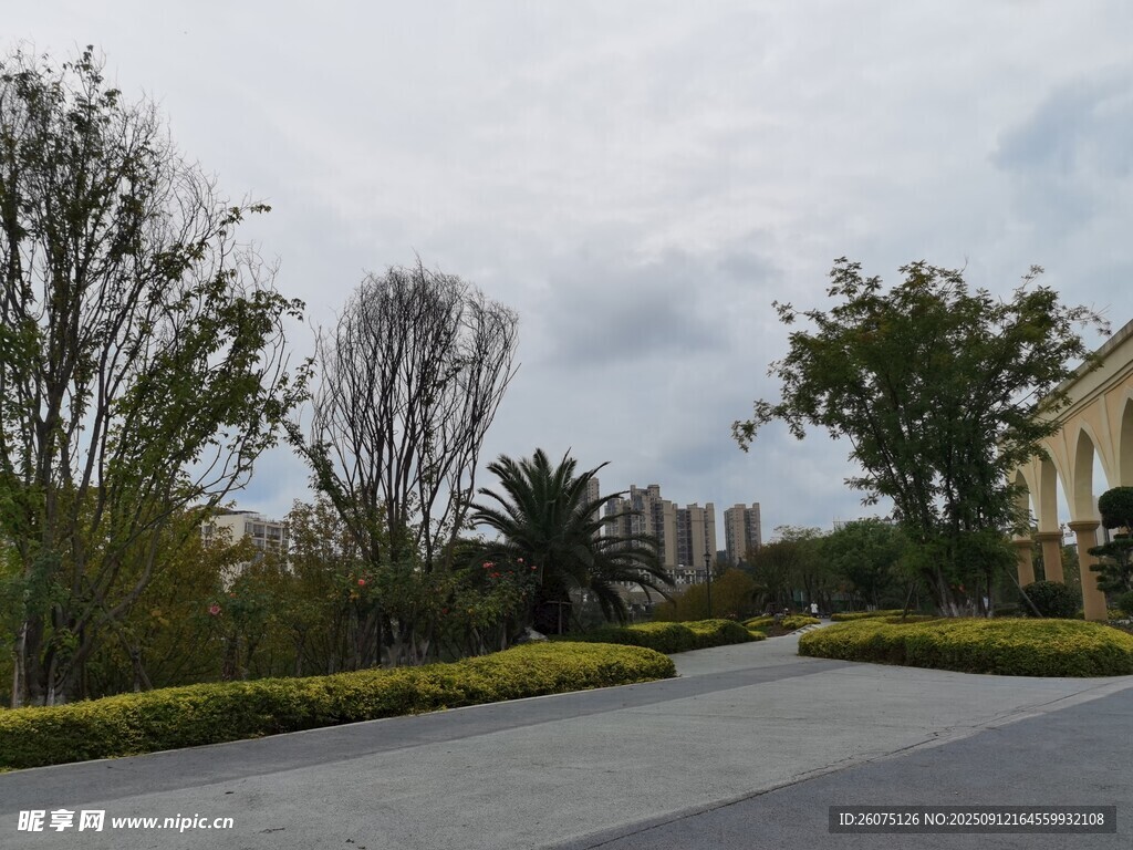 寧?kù)o寬闊的園區(qū)道路景觀
