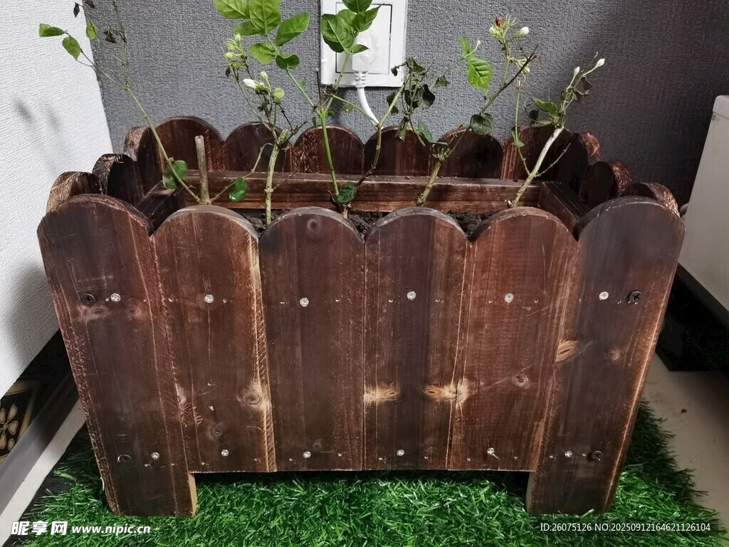 木質(zhì)花箱內(nèi)綠植生機勃勃
