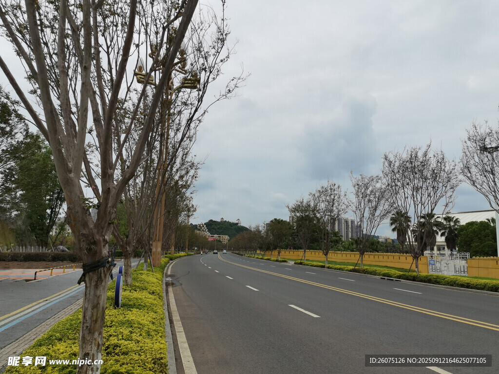 寬闊公路旁的綠化帶景觀