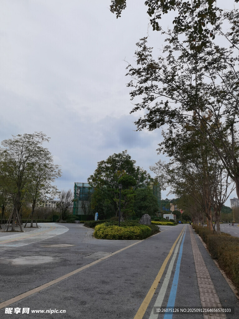 空曠道路旁的綠樹(shù)與建筑