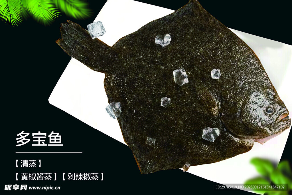 多寶魚