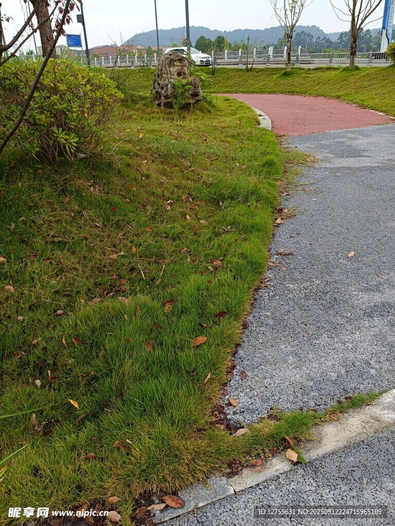 公園小徑旁的翠綠草地