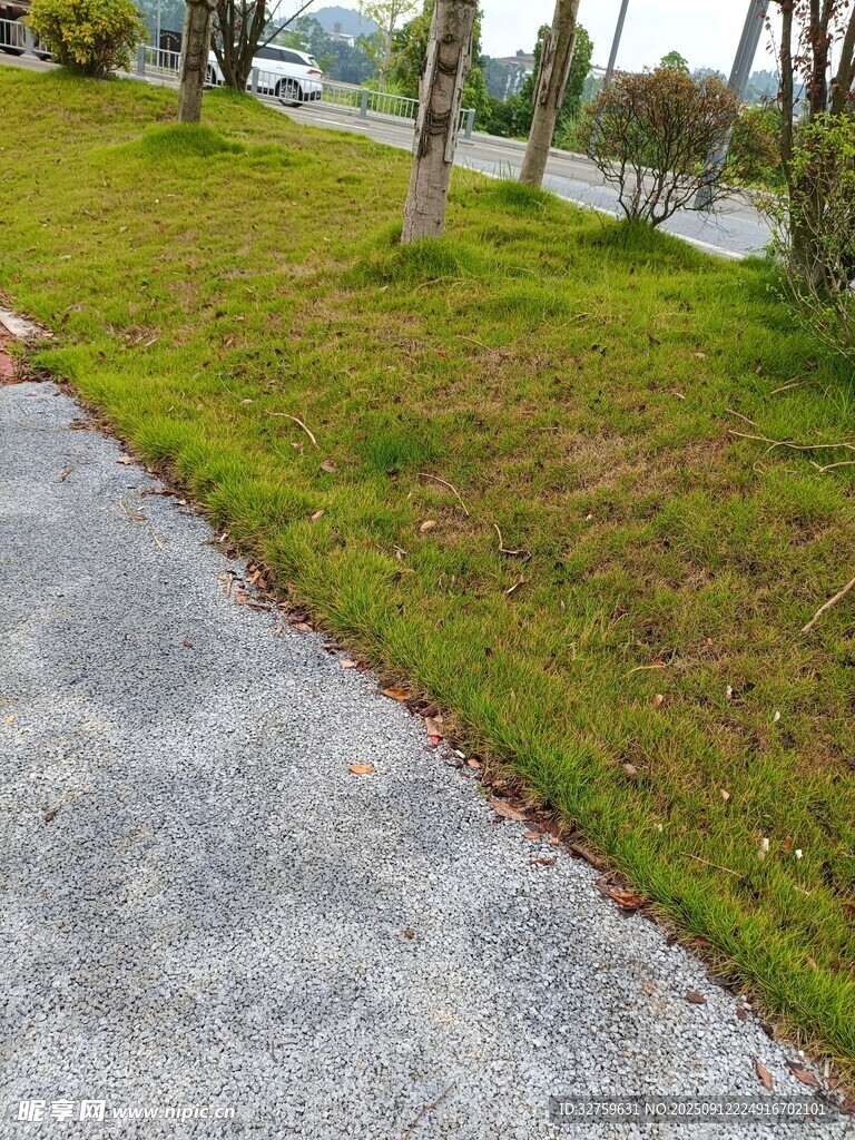 路邊草地與水泥小徑景觀