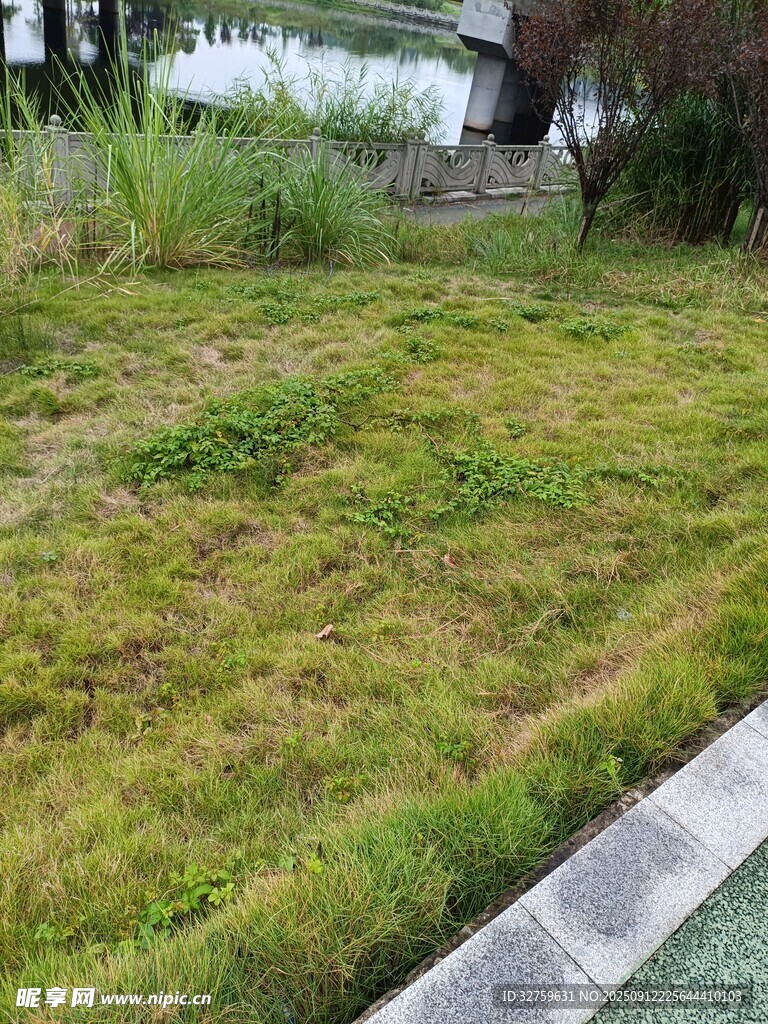 戶外草地景觀一角