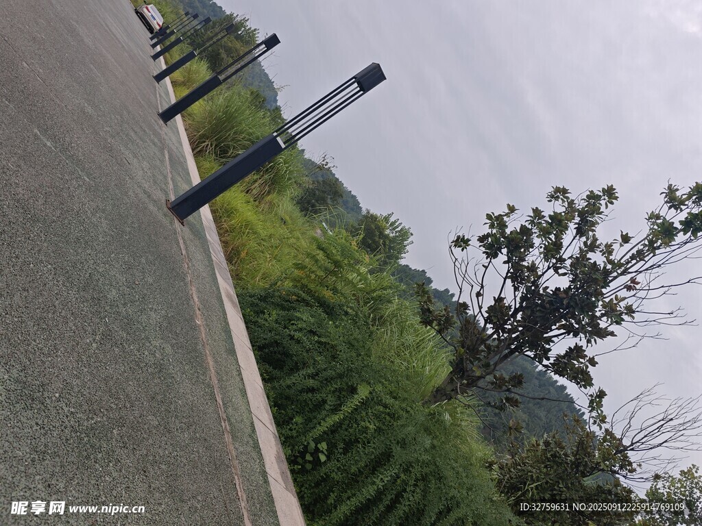 路邊綠植與黑色柱狀設(shè)施