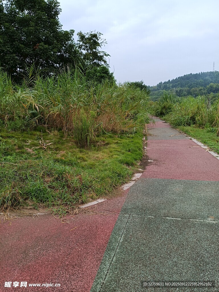 鄉(xiāng)村彩色步道風(fēng)景