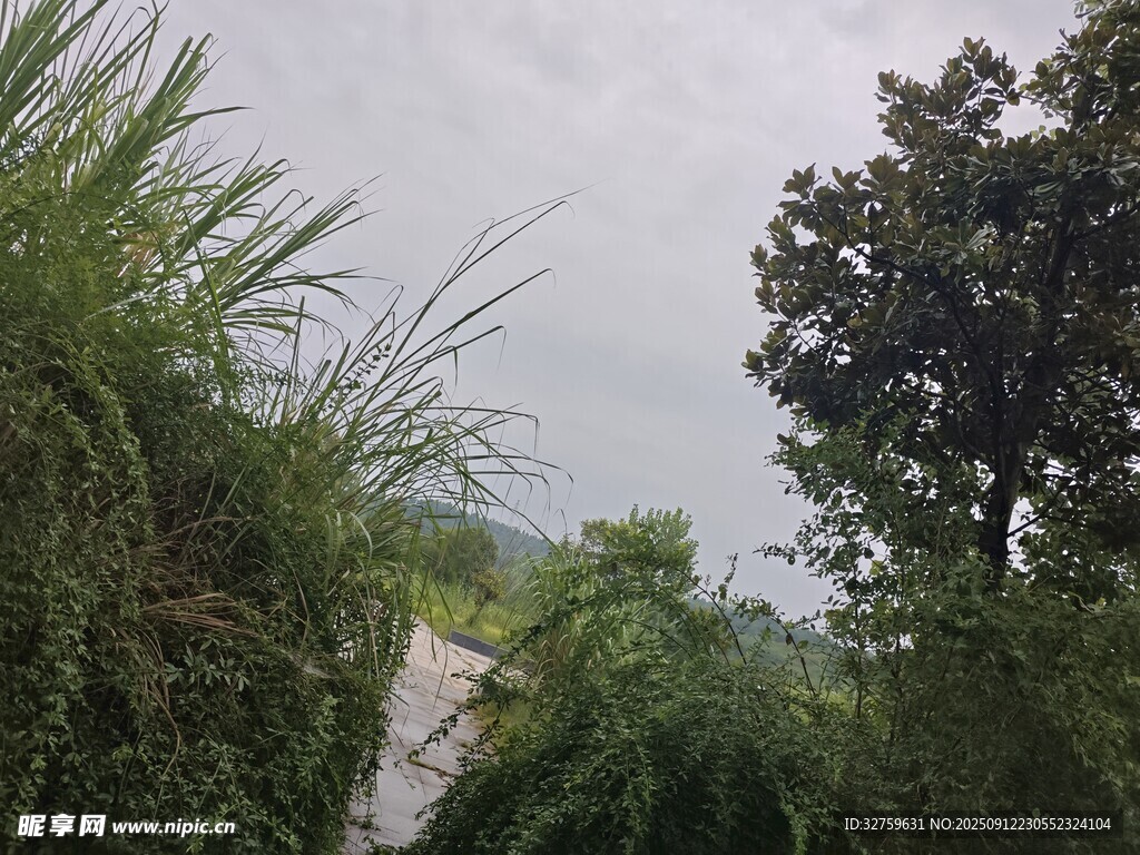 山間小徑 