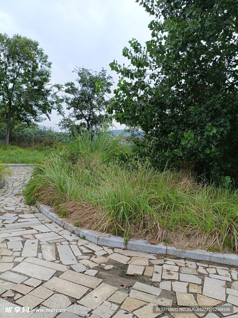 鄉(xiāng)村石徑 