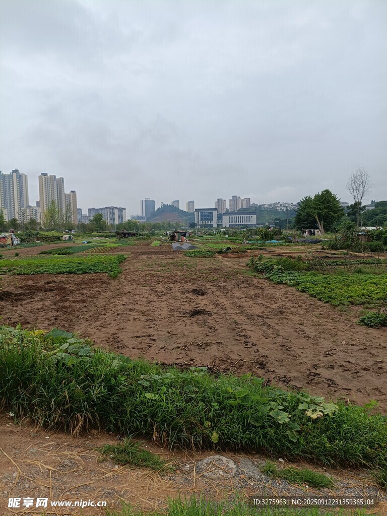 城郊農(nóng)田景象