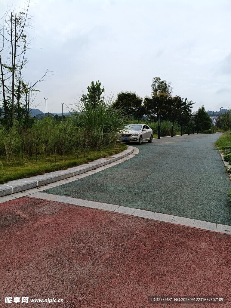 戶外道路旁的綠植景觀
