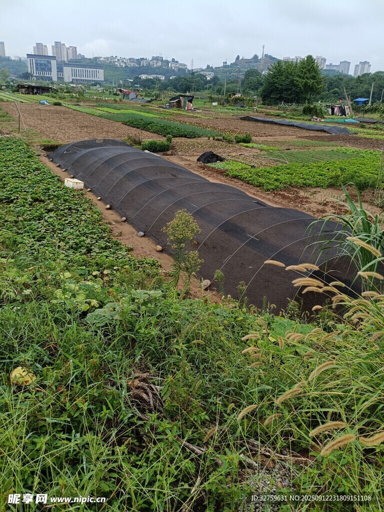 鄉(xiāng)村農(nóng)田景觀