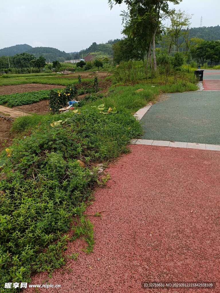 鄉(xiāng)村彩色步道旁綠植景觀