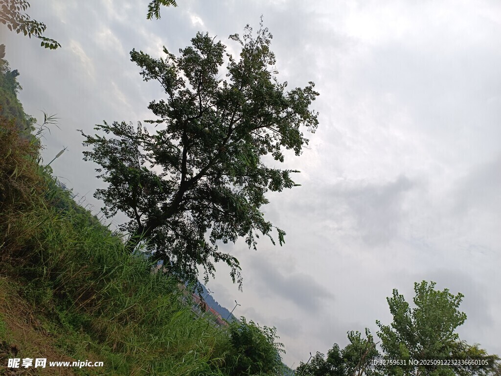 山間綠樹與朦朧天空