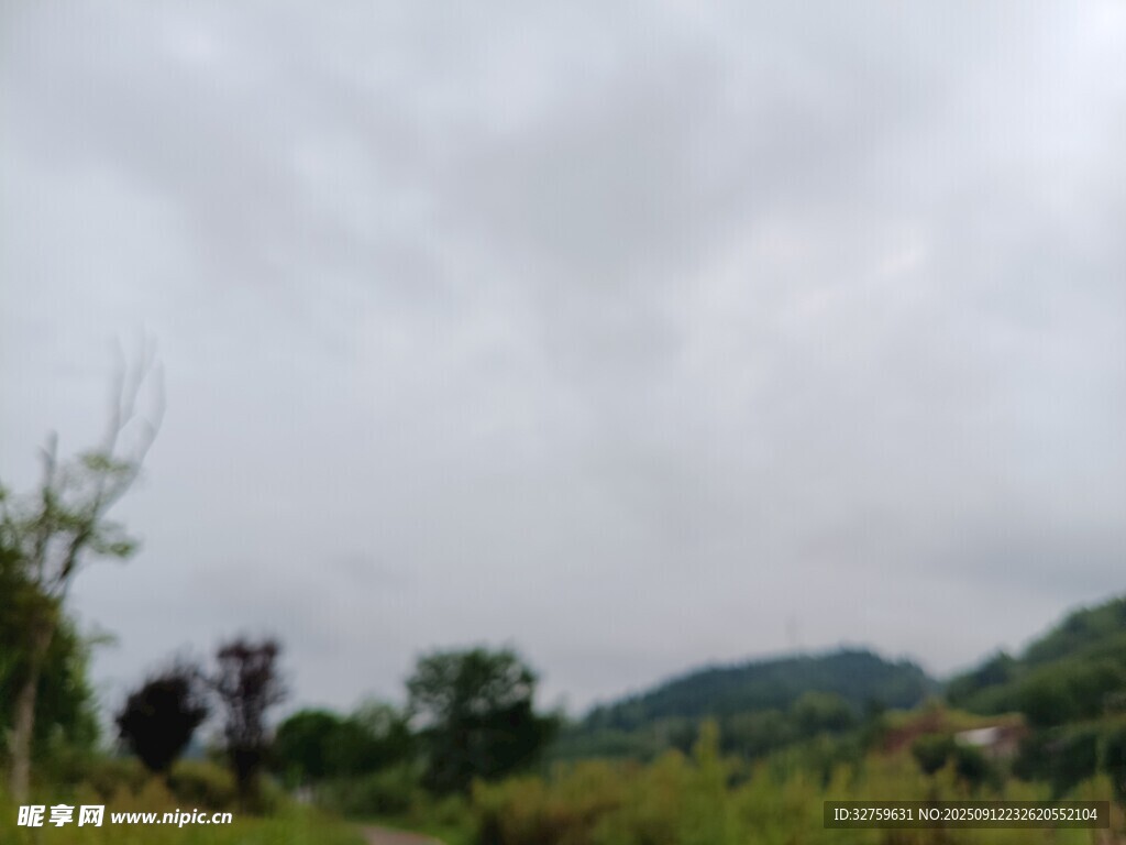 陰天的戶外自然景色