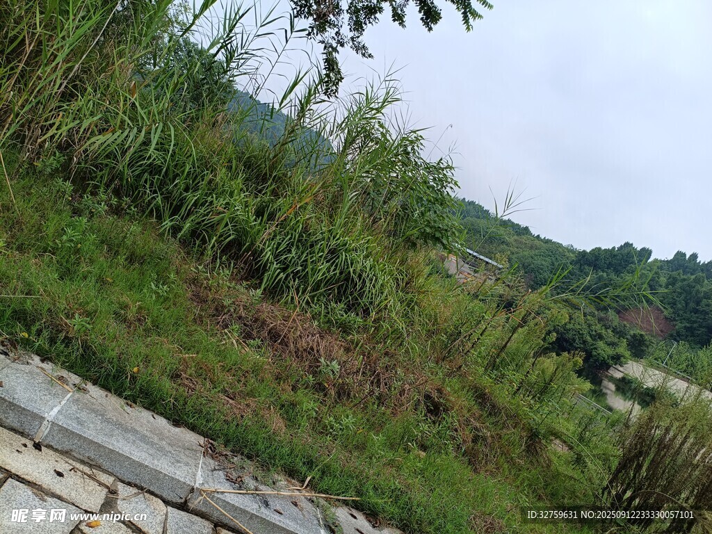 戶外草地與石徑風(fēng)景