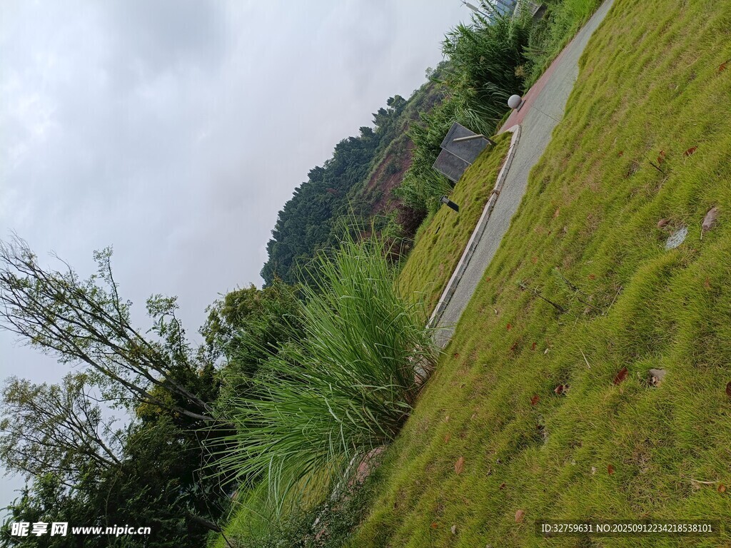 山間草地小徑風(fēng)景