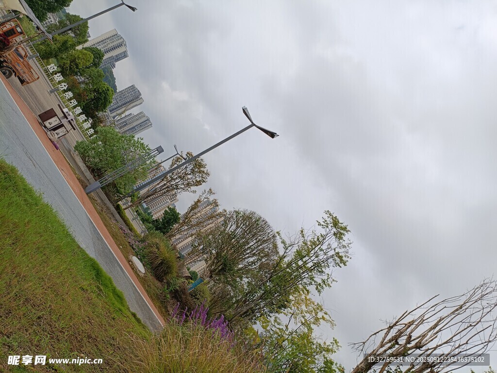 城市道路旁的綠植與路燈