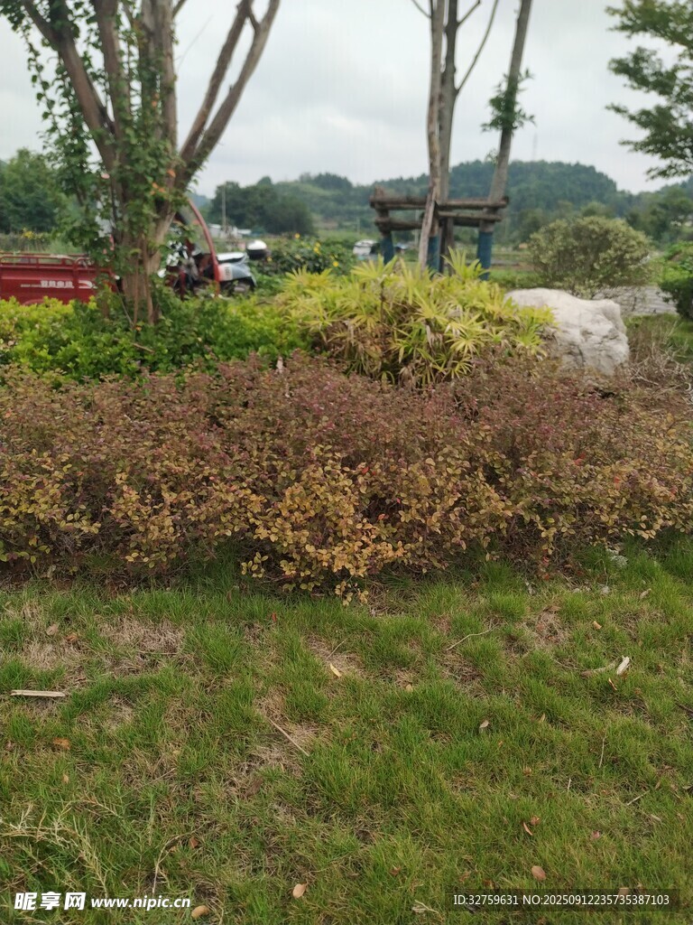 戶外多彩植物景觀