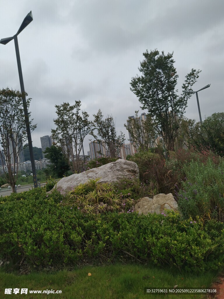 城市中的綠植景觀