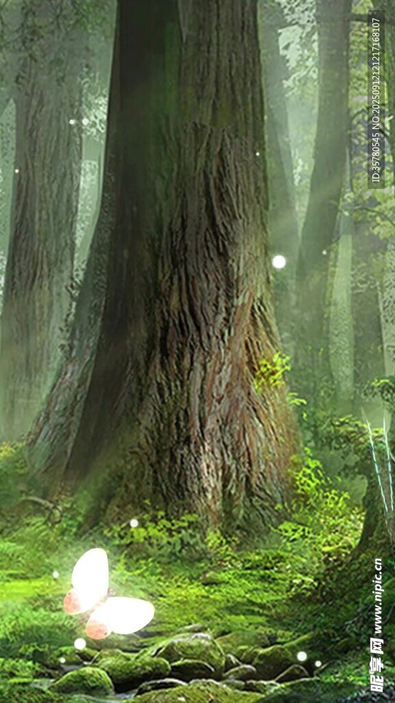 森林中的夢(mèng)幻白色蝴蝶
