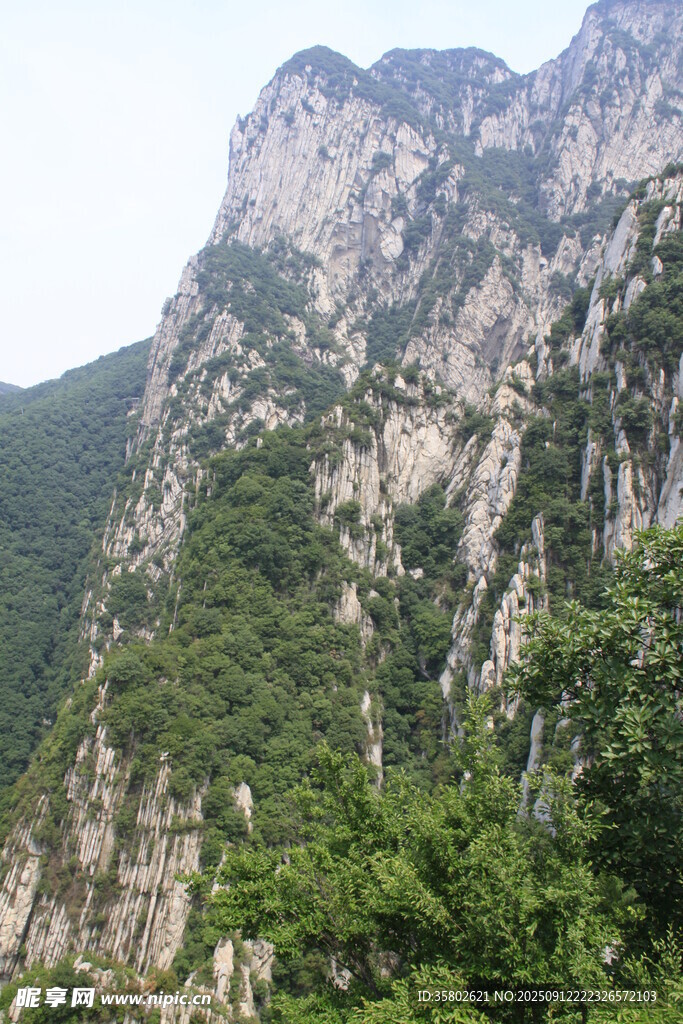 巍峨山巒間的蔥郁景致
