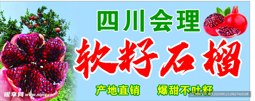 四川會理軟籽石榴展示