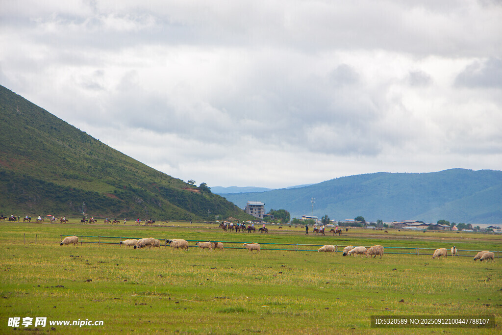 草原風(fēng)光 遠(yuǎn)山近景