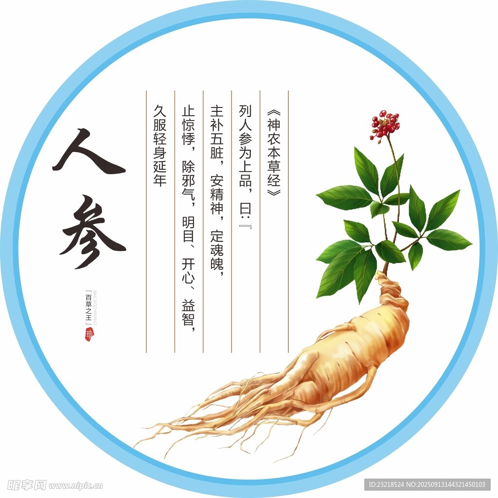 人參