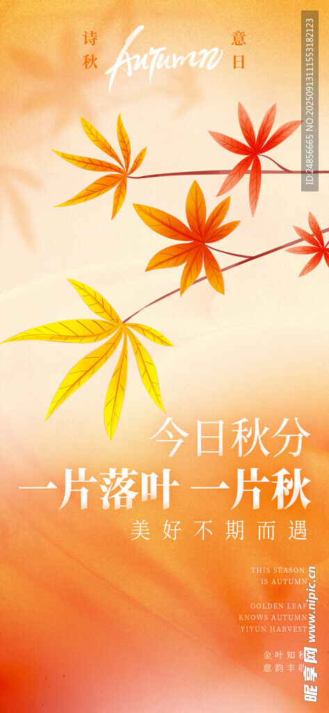 秋分海報 秋分節(jié)氣 秋分微信 