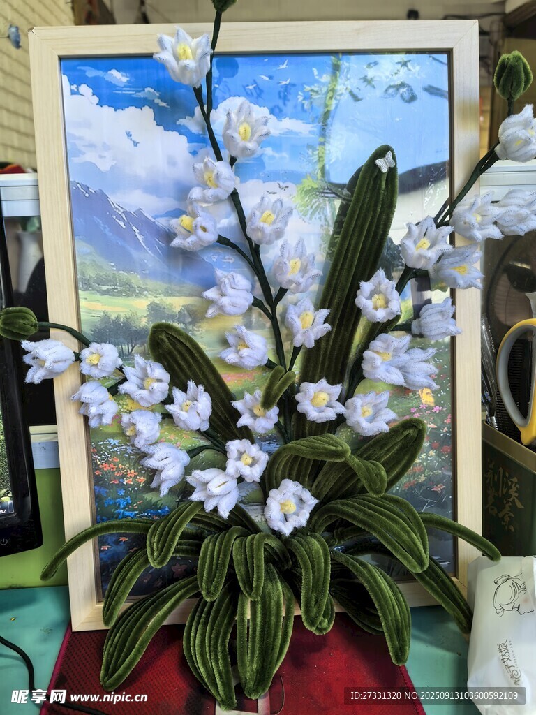 優(yōu)雅白蘭花盆栽藝術(shù)展示
