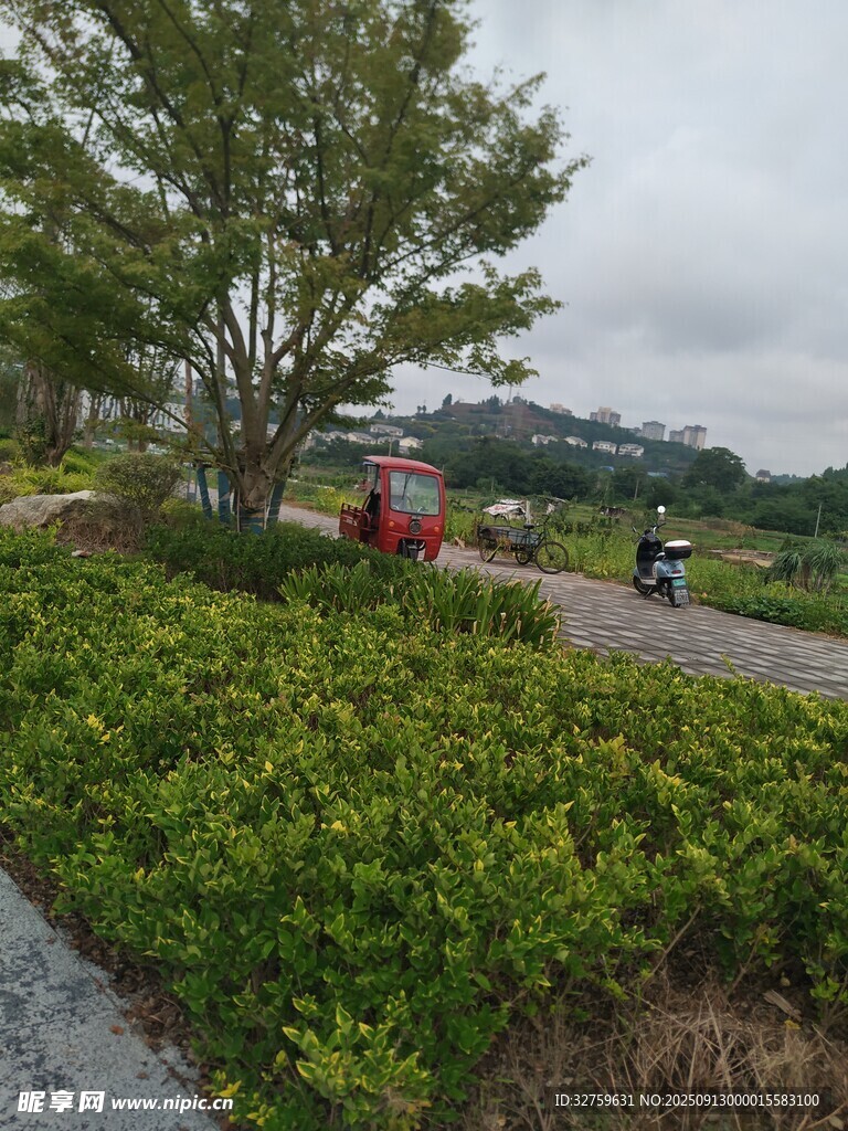 戶外綠植景觀與行人