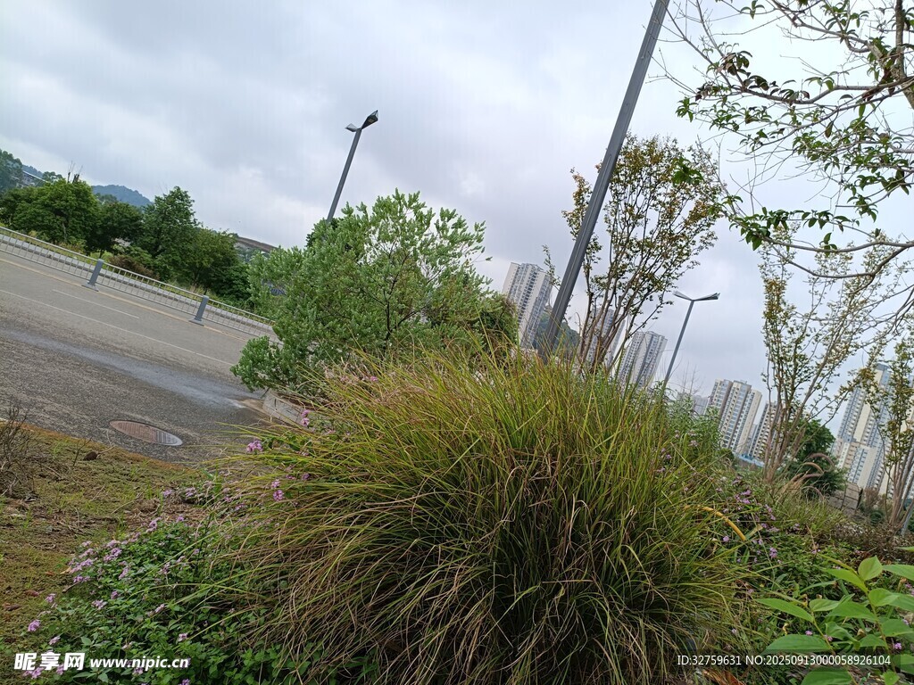 路邊綠植景觀