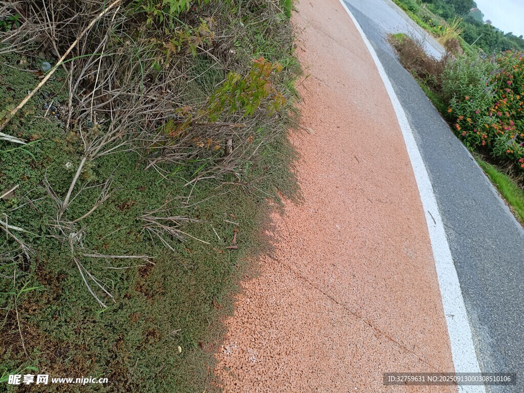 戶外紅色步道旁的綠植