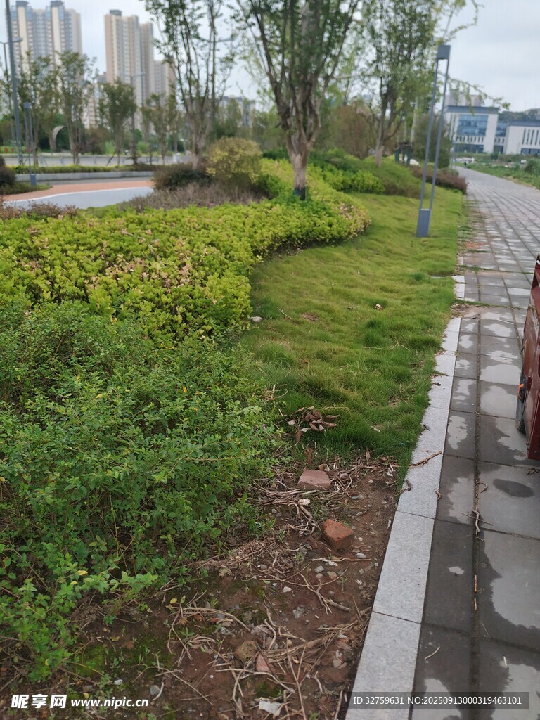 城市路邊綠意盎然景觀