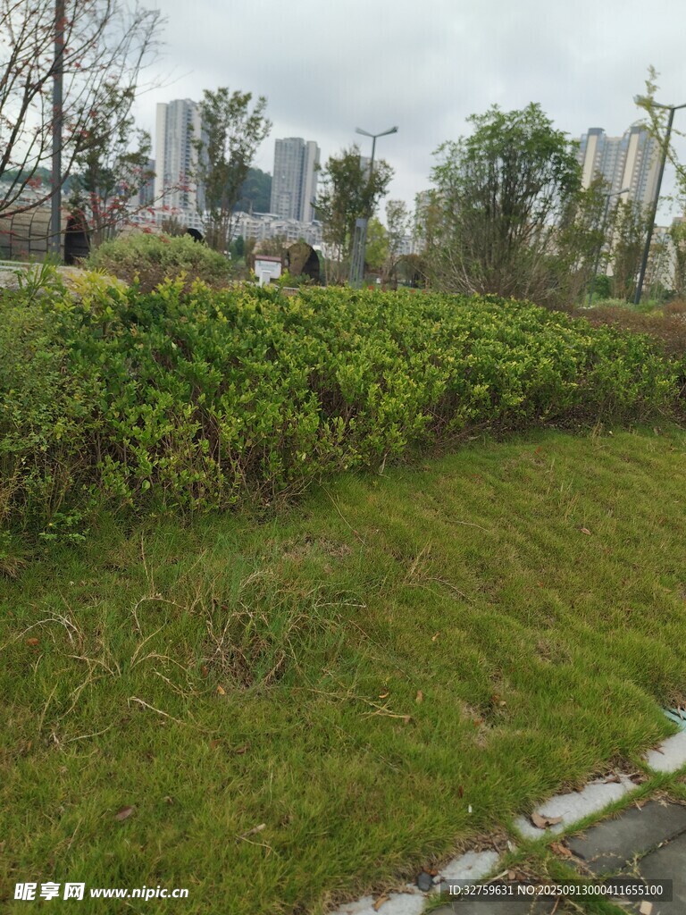 城市綠地景觀