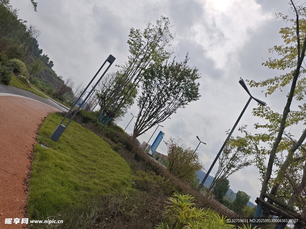 戶外休閑小路旁綠植景觀