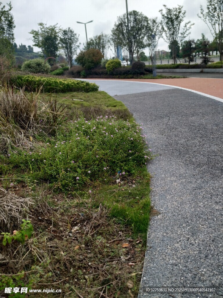 鄉(xiāng)村小徑旁的綠植景觀