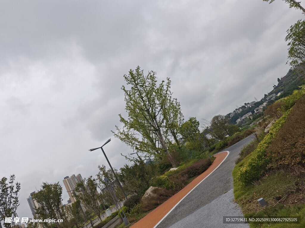 山間公路旁的綠樹與風車