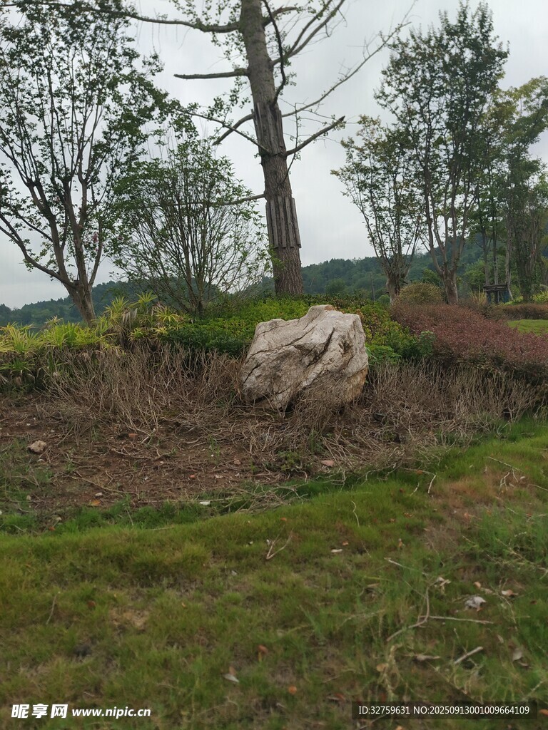 戶外草地旁的大石與樹木