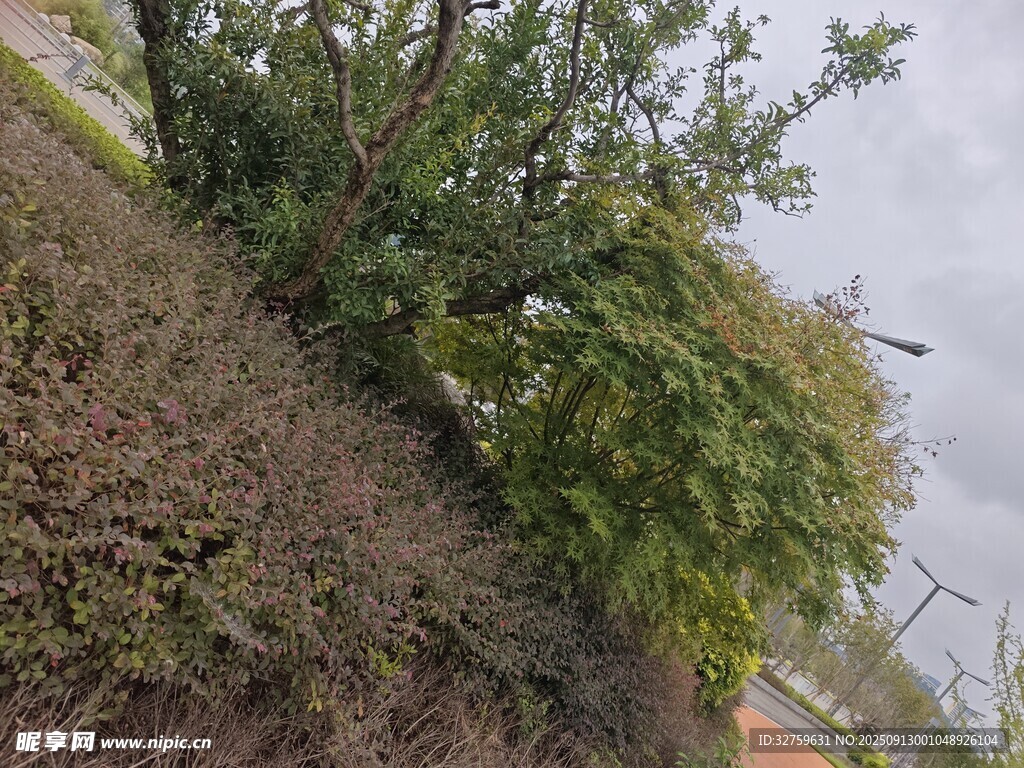 戶外綠植景觀一角
