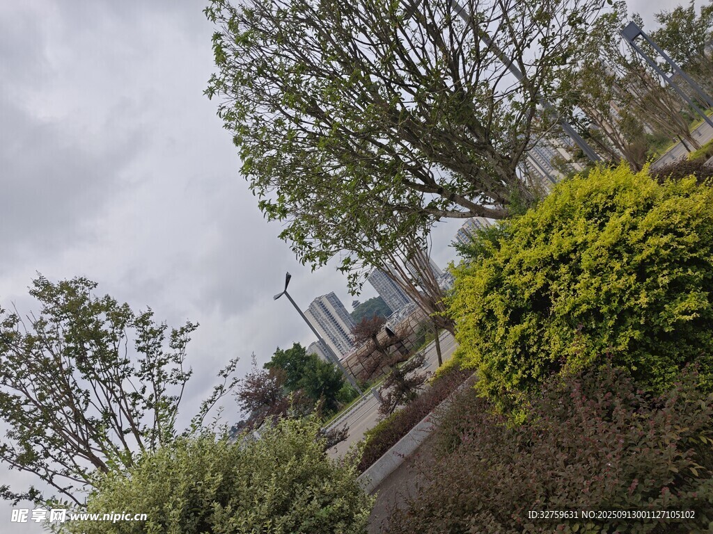 戶外綠植景觀