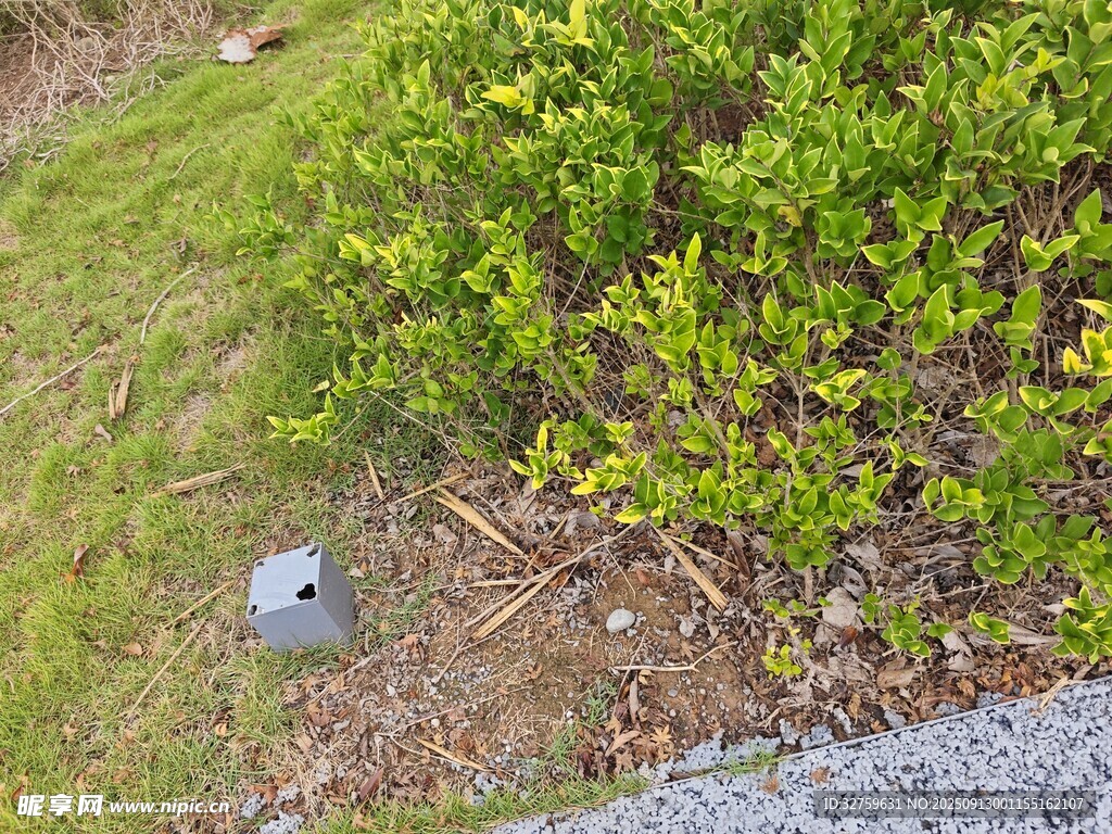 草坪中的戶外地埋燈
