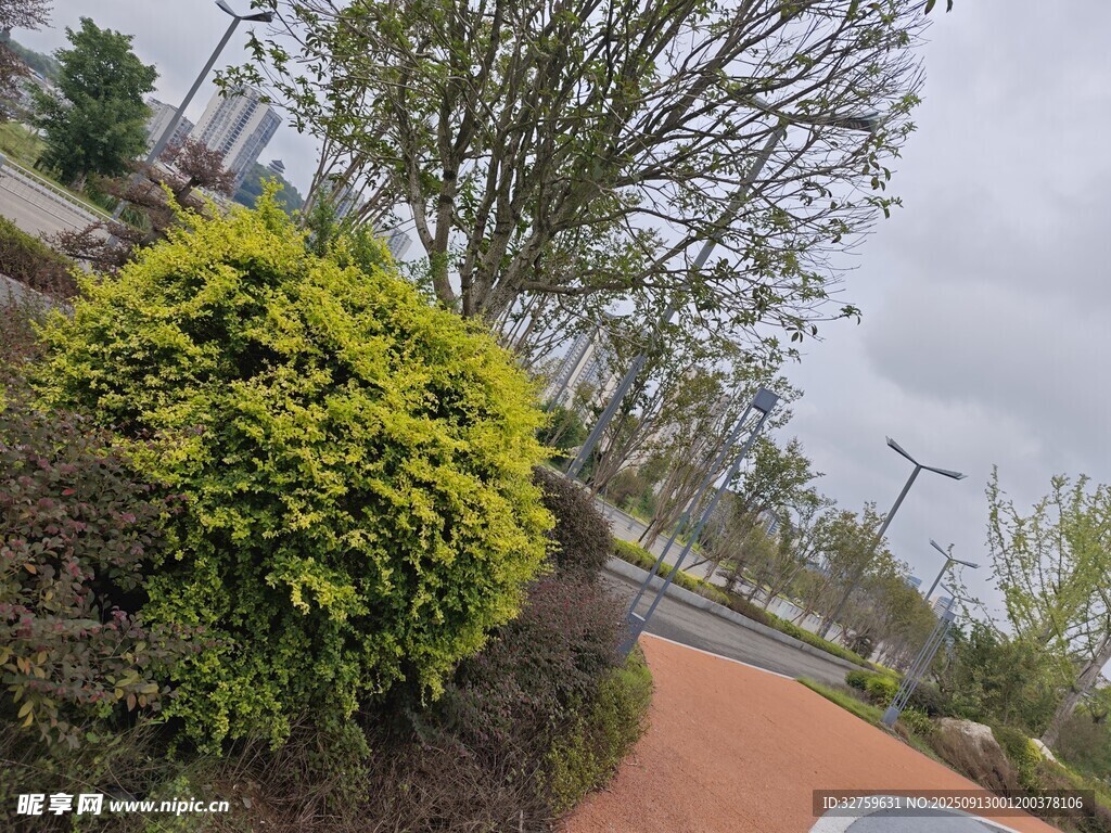 公園中的綠植與蜿蜒小徑