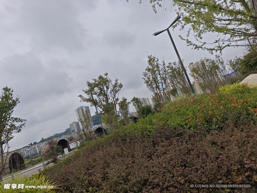 城市中的綠植景觀與建筑