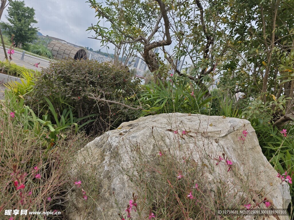 山間巨石旁的繁茂綠植
