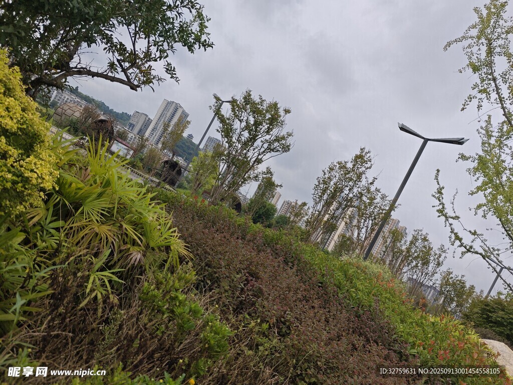 城市中的綠植與路燈景觀