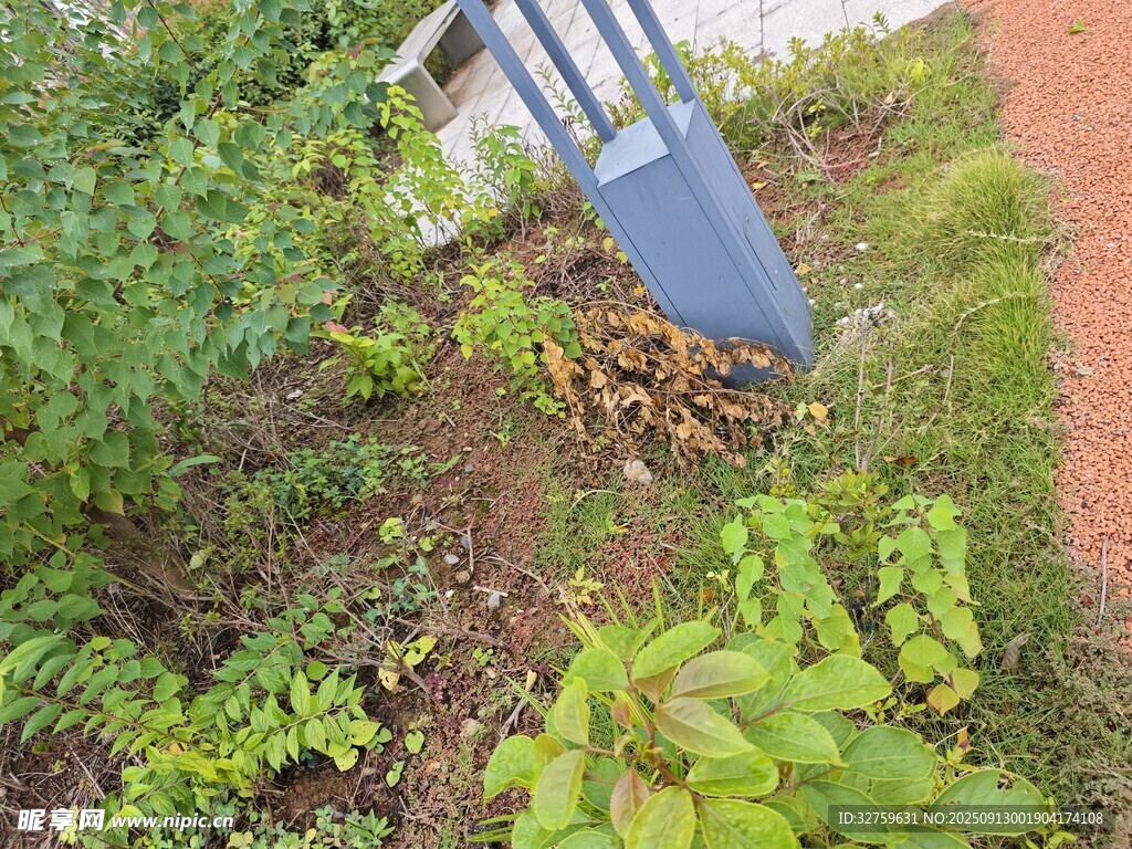 戶外綠植旁的藍色物件