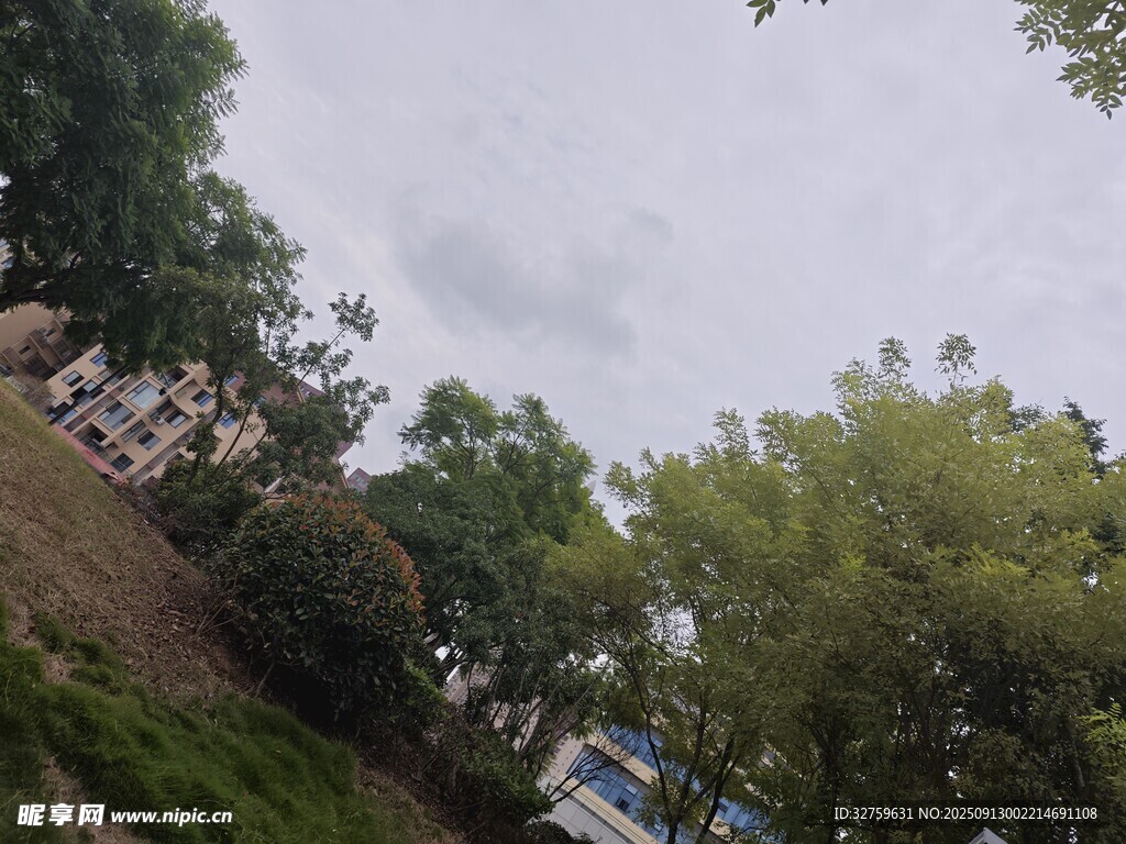 戶外綠樹環(huán)繞的景致