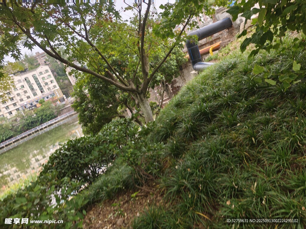 山林間的隱秘景致